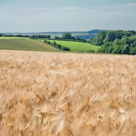 Dom wakacyjny Du Bois *